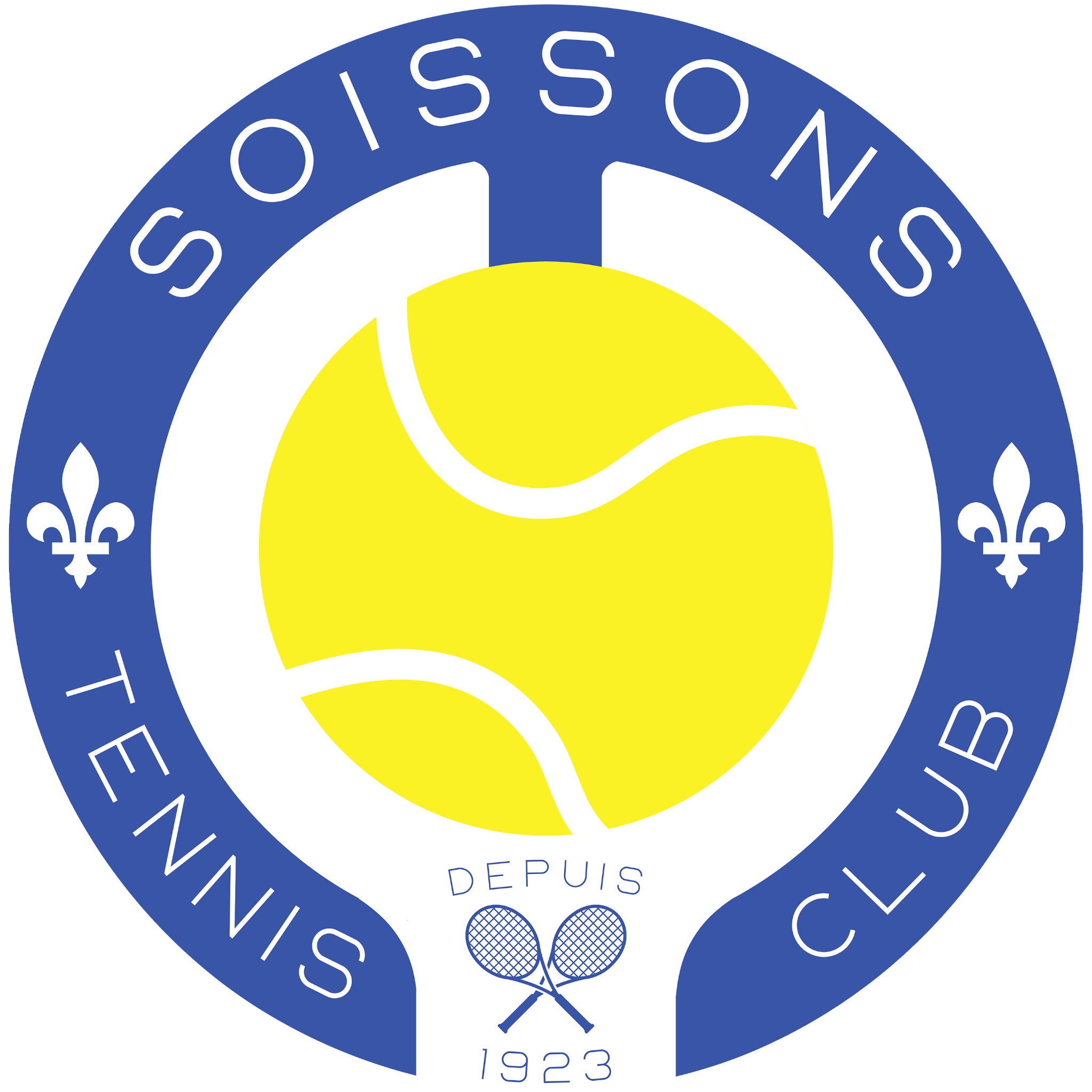 Logo TCS
